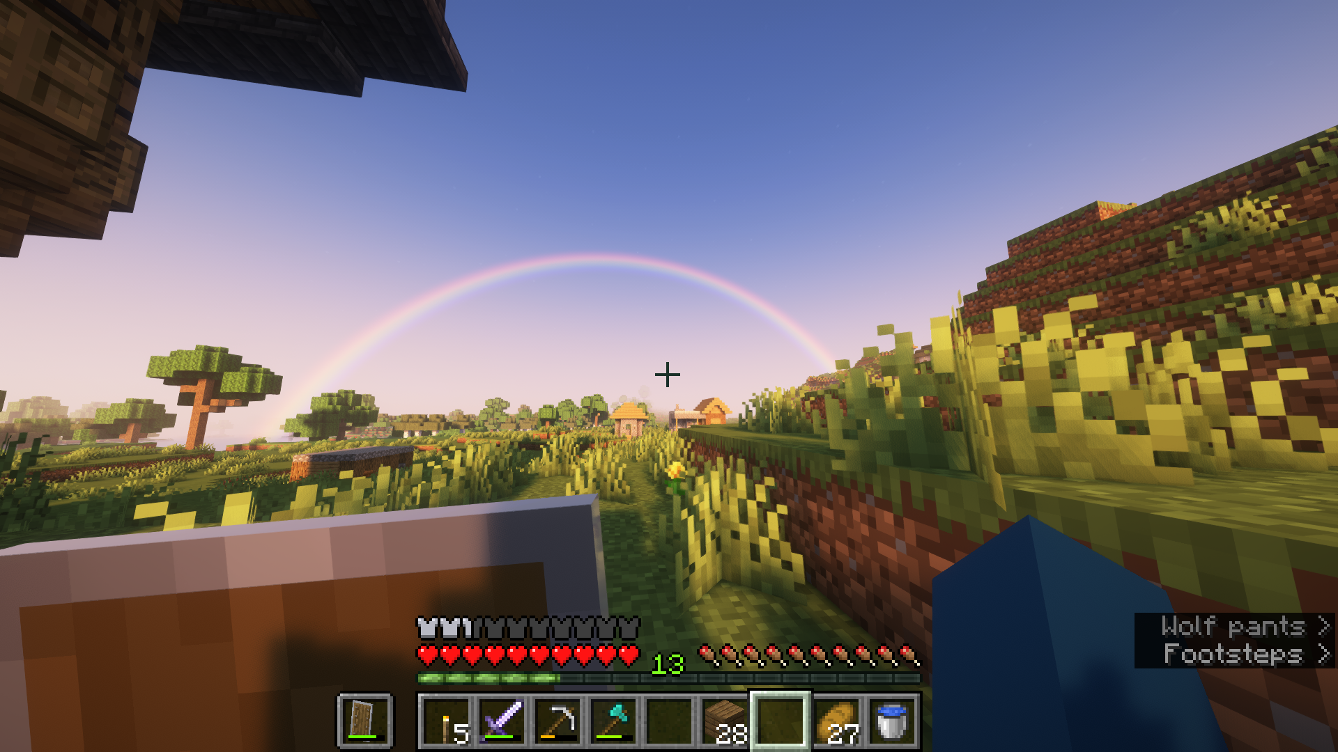 a minecraft world